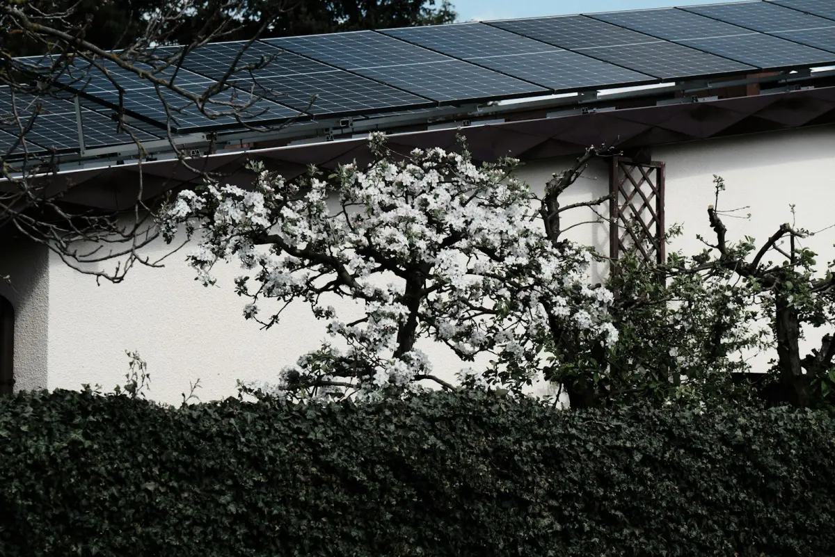 Zonnepanelen dakisolatie combineren saldering 2027: